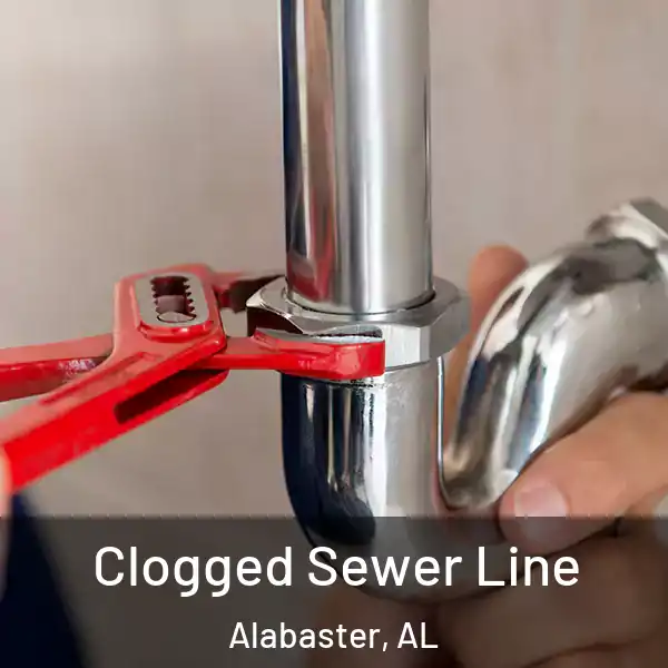  Clogged Sewer Line Alabaster, AL