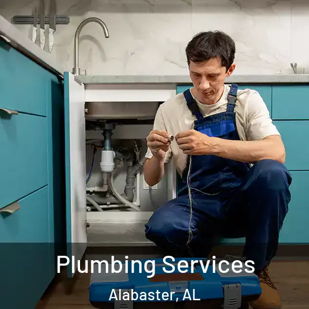  Plumbing Services Alabaster, AL